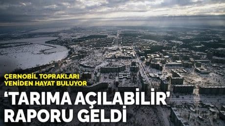 Çernobil toprakları yeniden hayat buluyor: Tarıma açılabilir raporu geldi