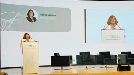 Las eléctricas cargan contra la omisión en las pesquisas europeas de “importantes oscilaciones” en la red ibérica antes del apagón