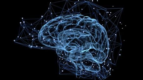 Comprueba la edad de tu cerebro con este sencillo ejercicio
