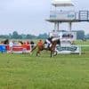 Après les travaux, l’hippodrome de Marcey-les-Grèves accueille de nouveaux les courses hippiques