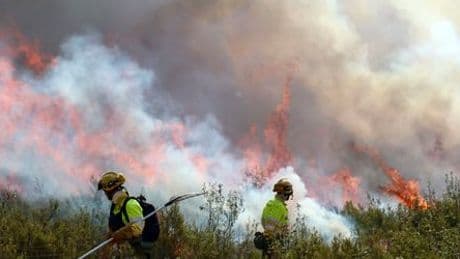 Hitze in Europa: Gefährliche Temperaturen über 40 Grad - der Überblick