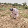 Nigeria has a food security problem as water for crops is harder to find