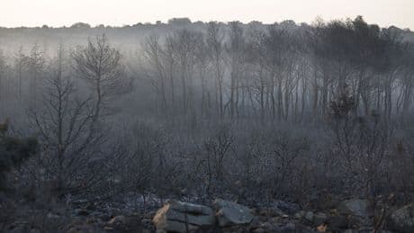Enorme bosbrand Zuid-Frankrijk is mogelijk aangestoken