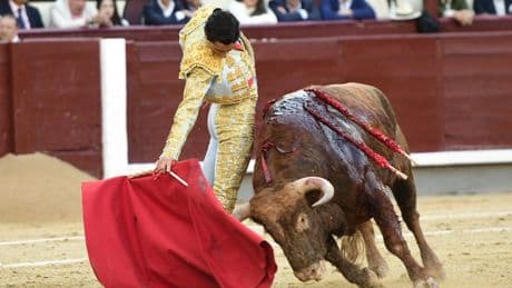 Una plaza frígida con tres novilleros con condiciones para ser torero: vuelta al ruedo para El Mene en Las Ventas