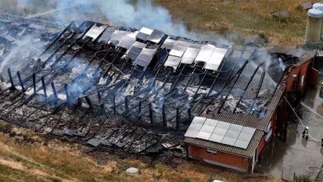 Solar-Anlage als Brandursache? - In diesem Stall starben 10.000 Hühner