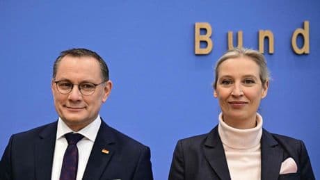 Los servicios de inteligencia del Gobierno de Alemania clasifican a Afd como partido "de extrema derecha"