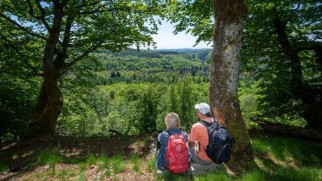 Nationalpark: Nationalpark Hunsrück-Hochwald feiert erste zehn Jahre