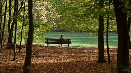 Cold Case aus Hannover: Inka Köntges verschwand in der Eilenriede
