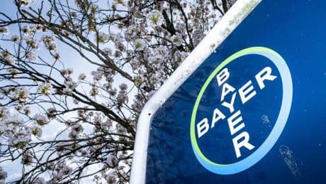 Chemie: Bayer einigt sich mit 200 Klägern wegen Monsanto-Chemikalie – Aktie steigt