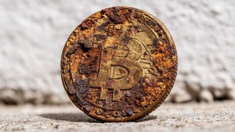 Kryptowährungen: Bitcoin-Verfechter prophezeit Untergang der Altcoins