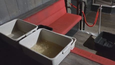 Club owners want compensation for repeated damage from Vancouver social housing