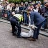 Vijf demonstranten opgepakt voor verstoren bevrijdingstoespraak Brekelmans