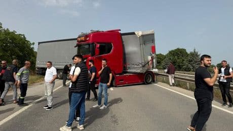 İstanbul-Bursa karayolunda trafiğe arı engeli!