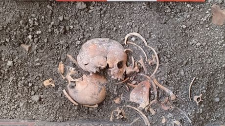 ¿Y si hubo vida en Pompeya después de la erupción? La evidencia de unos arqueólogos
