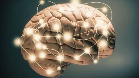 Neurodiversität im Alltag - Was Autismus wirklich bedeutet