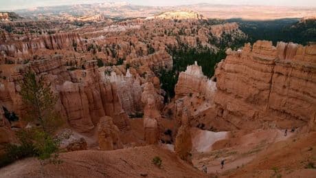 "Elle était un peu endolorie": une chatte "miraculée" survit à une chute de 115 mètres fatale à ses propriétaires