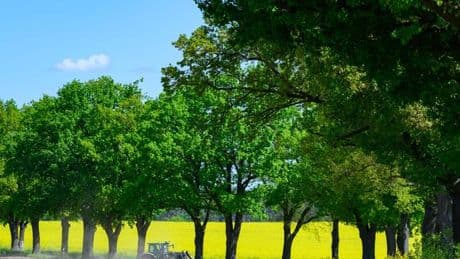 Wettervorhersage: Sonne und bis zu 17 Grad - Nachtfrost möglich
