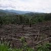 Amendment to Peru law raises fears of Amazon rainforest destruction