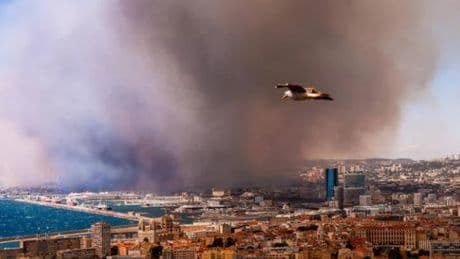 Francia, un vasto incendio minaccia Marsiglia: chiuso l’aeroporto, stop ai treni. Le fiamme arrivano in città