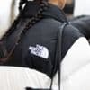 North Face and Cartier customer data stolen in cyber attacks