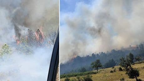 Son dakika... Üç ilde orman yangını! Havadan ve karadan müdahale sürüyor