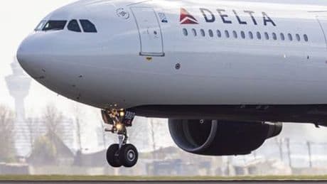USA: Tauben an Bord verzögern Inlandsflug um 56 Minuten