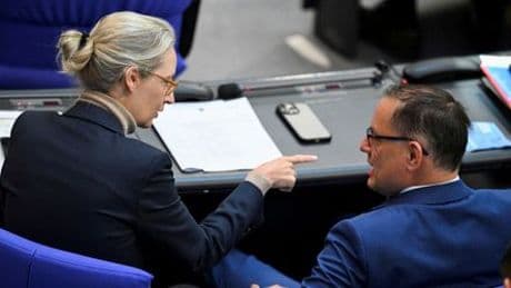 Bundestag: AfD-Fraktionsmitarbeiter wegen rassistischem Angriff auf Flüchtlinge vorbestraft
