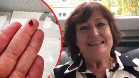 Im Fischfilet - Monika bekam auf Kreuzfahrt Glassplitter serviert