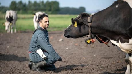 Tiermediziner fehlen: Wegen Fachkräftemangel: Tierärzte aus dem Ausland umworben
