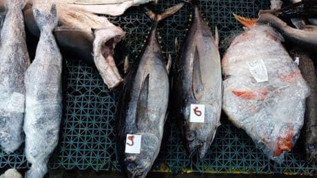 Alerta alimentaria «grave» por la presencia de partículas de vidrio en un conocido pescado procedente de España