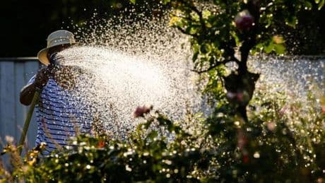 Antwort auf die Klimakrise: Umweltminister stellt "Masterplan Wasser" vor