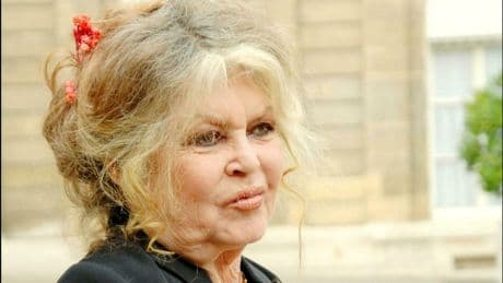 Brigitte Bardot demande à Emmanuel Macron l’abolition de la chasse à courre