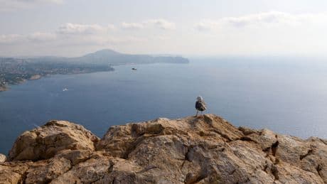 Así es el Peñón de Vélez de la Gomera, la frontera más pequeña del mundo y con episodios conflictivos con Marruecos