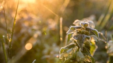 Wetter: Tagsüber bis zu 20 Grad, nachts vereinzelt Frost