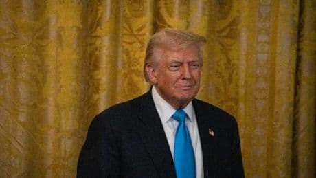 INFOGRAPHIE. Un nouvel ordre mondial commercial débute ce 1er août mais très peu de pays ont un accord avec Trump