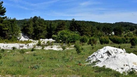 Muğla’da zeytinlik, orman, koruma altındaki araziler satılacak