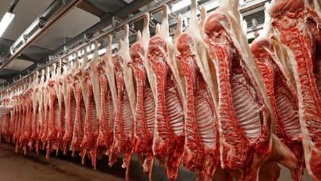China verhängt Zölle auf Schweinefleisch aus der EU