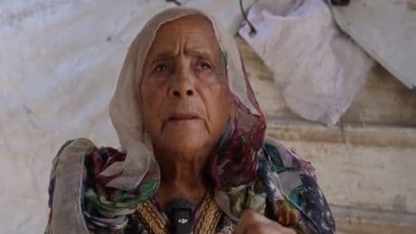 ‘Death is better than displacement’: Gaza City mothers say hunger blocks escape of looming Israeli offensive