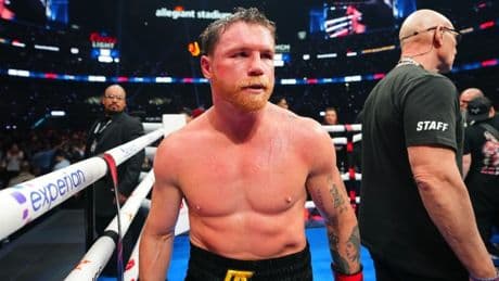Canelo Alvarez sends surprising message to Terence Crawford after losing historic fight