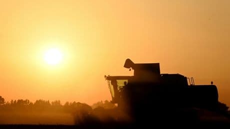 Agriculture : la loi Duplomb entrevoit le bout du tunnel parlementaire, sans éteindre la controverse