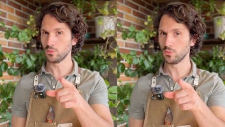 Ignacio Guío, experto en plantas: “A la hora de cultivar tomates es súper importante hacer un seguimiento constante”