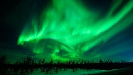 Northern Lights Forecast: 10 States Might See Aurora Borealis Tuesday