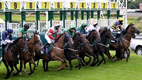 Newsboy's horse racing tips for Monday's four UK meetings
