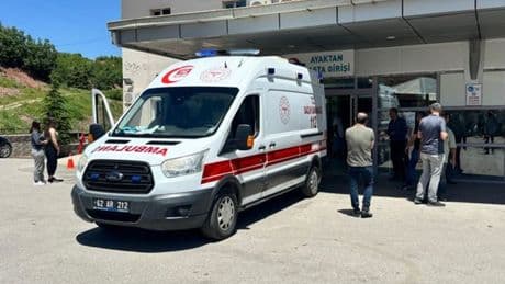 Amca-yeğen cinayet kurbanı!