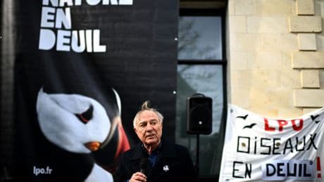Agriculture : des ONG crient au « scandale » sanitaire et environnemental contre la loi Duplomb