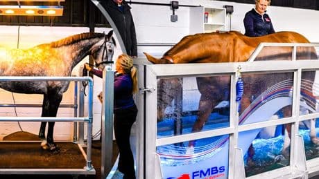 Miljoenen aan prijzengeld, feest met dj’s en beroemdheden: Valkenswaard komende dagen episch centrum paardensport