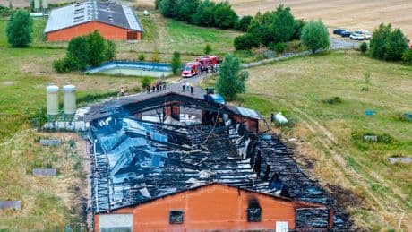 Mecklenburg-Vorpommern: Großer Stallbrand löst Debatte aus
