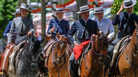 Un bebé de 11 meses, herido después de ser arrollado por un caballo desbocado junto a la Feria de Sevilla