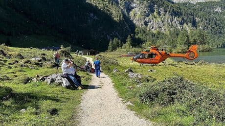 Königssee in Bayern: Kuh-Begegnung endet für Urlauber im Krankenhaus