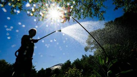 Ressourcenschutz: Region Hannover schränkt Bewässerung im Sommer erneut ein